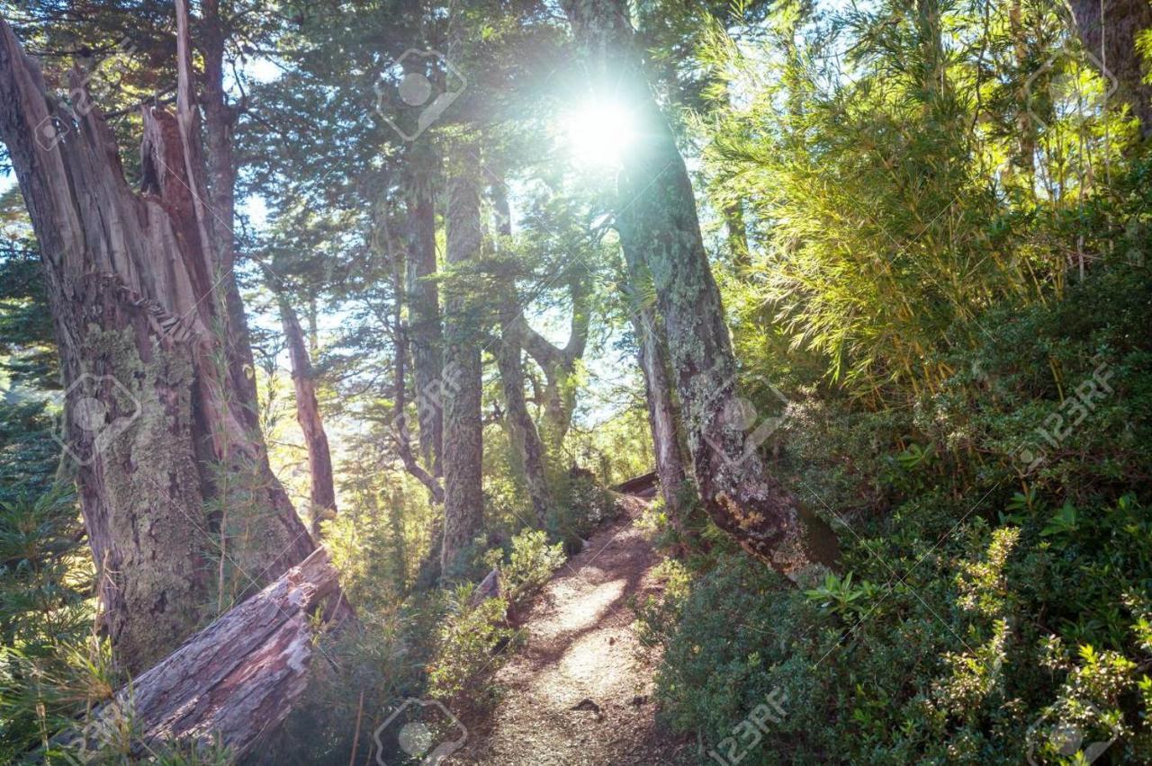 Foret Austral Ranomafana Екстериор снимка